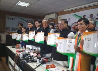 घोषणा पत्र,सिर्फ घोषणा या आमजन की चिंता