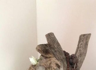 घर में पधारे गजानन्द जी मेरे घर में पधारे,जी हाँ साक्षात गणेश भगवान पधारे अजमेर की माकड़वाली गली में