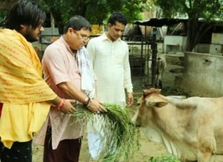 श्री श्याम रसोई द्वारा, जयपुर शहर की विभिन्न मंदिरों के पुजारियों के परिवारों को खाद्य सामग्री वितरित की गई साथ ही गौशालाओं में चारा वितरित किया गया ,,