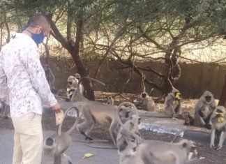 जगतपुरा शूटिंग रेंज के कर्मचारी,इंचार्ज शाकिर खान की दादागिरी, वन्यजीवों को दाना पानी देने वाले समाज सेवियों को दे रहा है धमकी,कहता है नहीँ डालने दूगा दाना,मेरी मर्जी,,