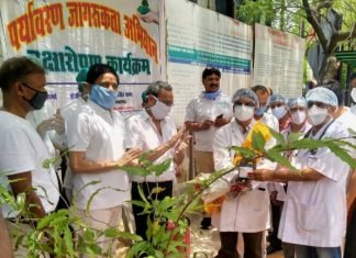 राजस्थान राज्य नर्सेज एसोसिएशन ने, *डॉक्टर्स डे* पर किया वृक्षारोपण,, राजकीय सेवाओं को प्रभावशाली बनाने की ली शपथ ,,