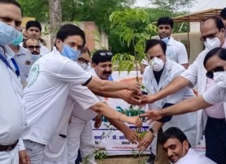 श्वशन रोग संस्थान में हुआ वृक्षारोपण,,, कोरोना वारियर्स को भी किया सम्मानित,,,,