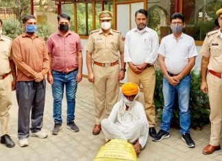 ऑपरेशन हाईवे के तहत मादक पदार्थों के विरुद्ध, जिला जयपुर ग्रामीण पुलिस की,92वीं बड़ी कार्रवाई,,6 किलो डोडा पोस्ट चुरा के साथ एक मुलजिम गिरफ्तार,,