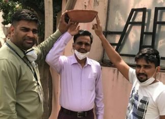 मेट्रो मास के कर्मचारियों ने दिया पक्षी बचाओ का संदेश,,