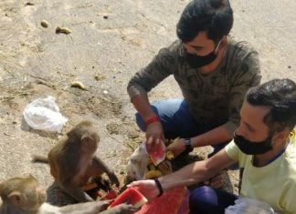 महर्षि दधीचि रोटी बैंक का जरुरतमंदों व बेजुबानों की सेवा का कार्य जारी,,