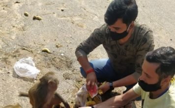 महर्षि दधीचि रोटी बैंक का जरुरतमंदों व बेजुबानों की सेवा का कार्य जारी,,