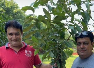 सेवा ही मेरा धर्म है : तुलसी त्रिलोकानी