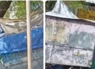 तू डाल डाल मैं पात पात अनेकों कार्यवाईयों के बाद फिर कैसे शुरू हो जाता है घाटगेट का सट्टा, किसकी शह पर ? अब अगली कार्यवाई कब ?