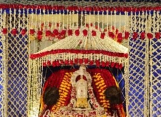 श्री श्याम रसोई चैरिटेबल ट्रस्ट का भव्य झूला महोत्सव ,, संत महंतो का मिला सानिध्य