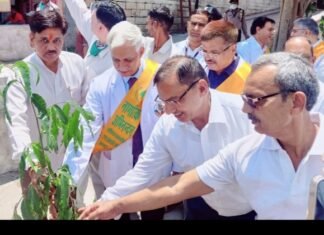 सीड्स और आरआरएनए के संयुक्त तत्वावधान में एस एम एस अस्पताल में वृक्षारोपण जागरूकता कार्यक्रम हुआ आयोजित,,